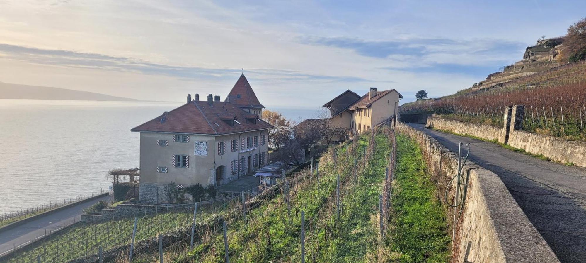 מלון Saint-Saphorin Domaine Du Burignon מראה חיצוני תמונה