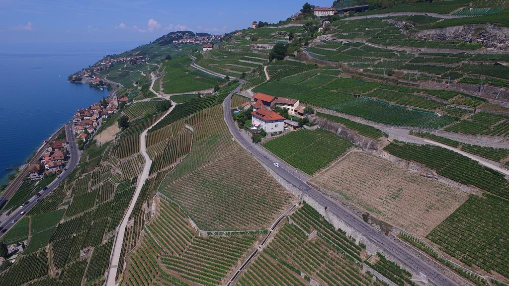 מלון Saint-Saphorin Domaine Du Burignon מראה חיצוני תמונה