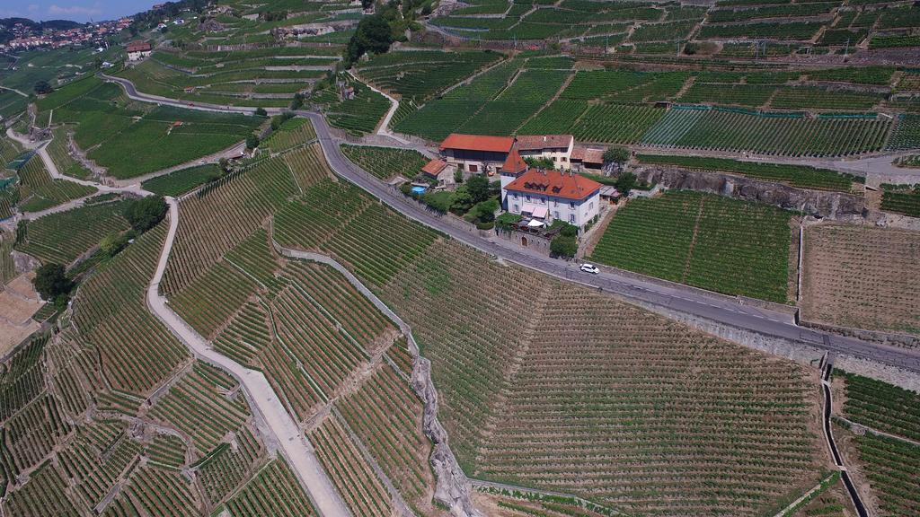 מלון Saint-Saphorin Domaine Du Burignon מראה חיצוני תמונה